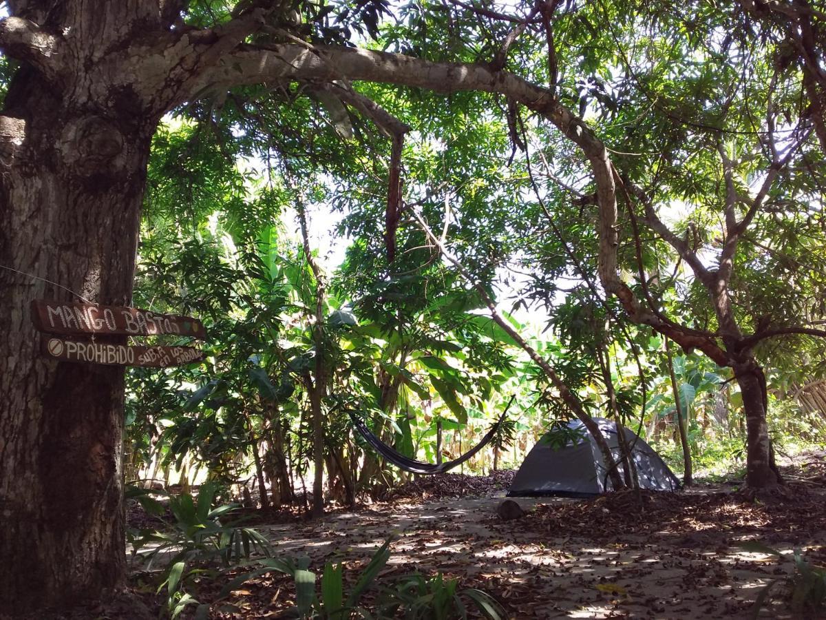 Eco-Camping Mango Feliz Rincon Del Mar San Onofre Dış mekan fotoğraf