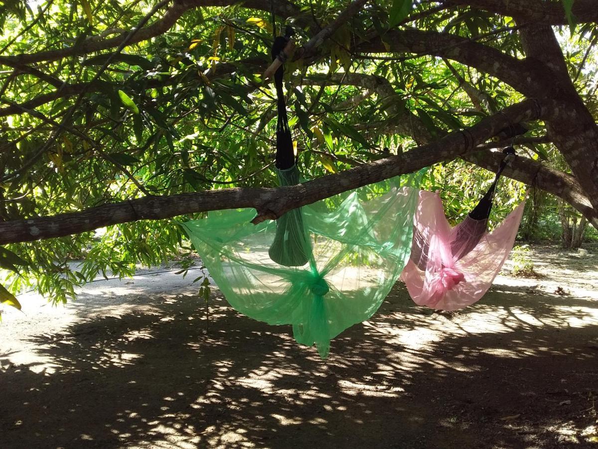 Eco-Camping Mango Feliz Rincon Del Mar San Onofre Dış mekan fotoğraf