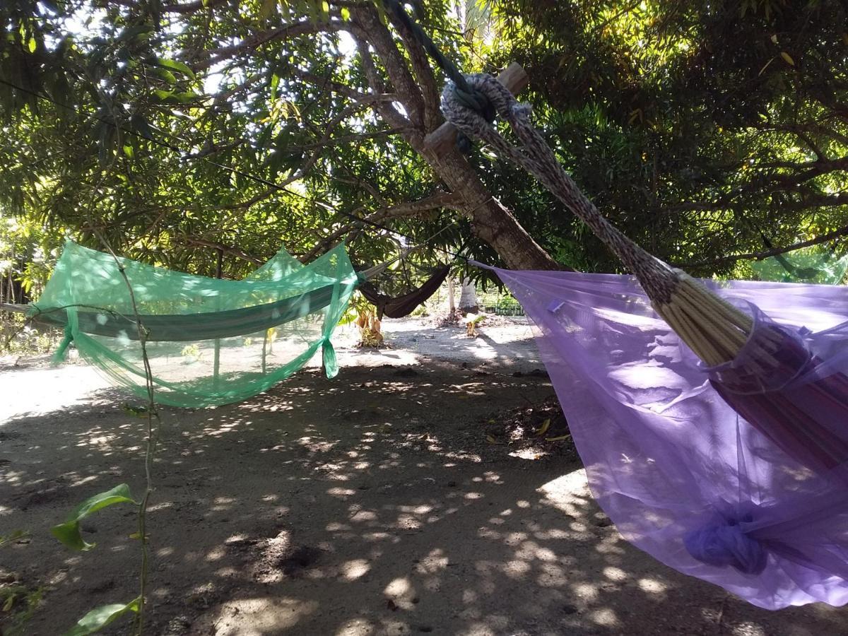 Eco-Camping Mango Feliz Rincon Del Mar San Onofre Dış mekan fotoğraf