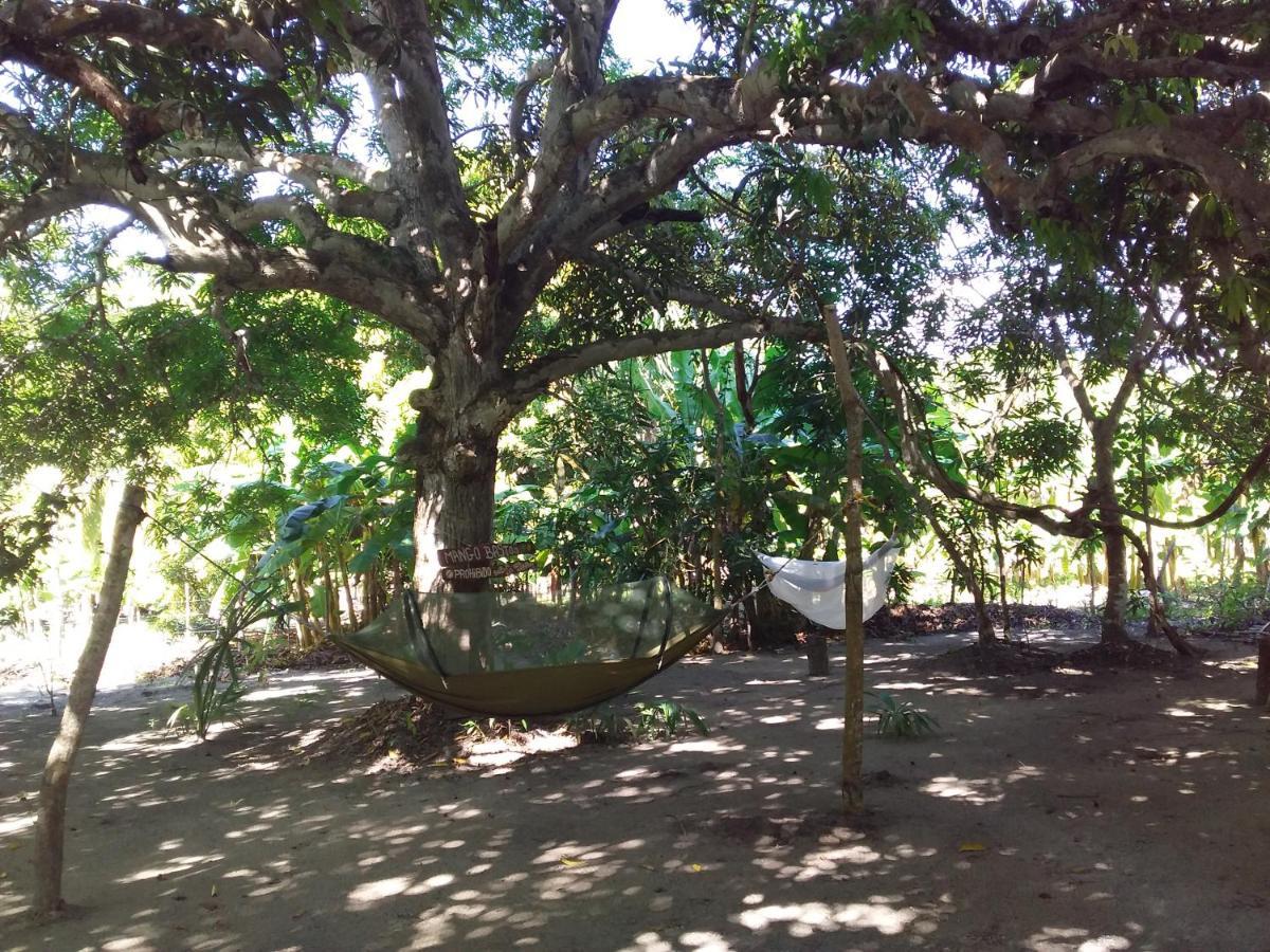Eco-Camping Mango Feliz Rincon Del Mar San Onofre Dış mekan fotoğraf