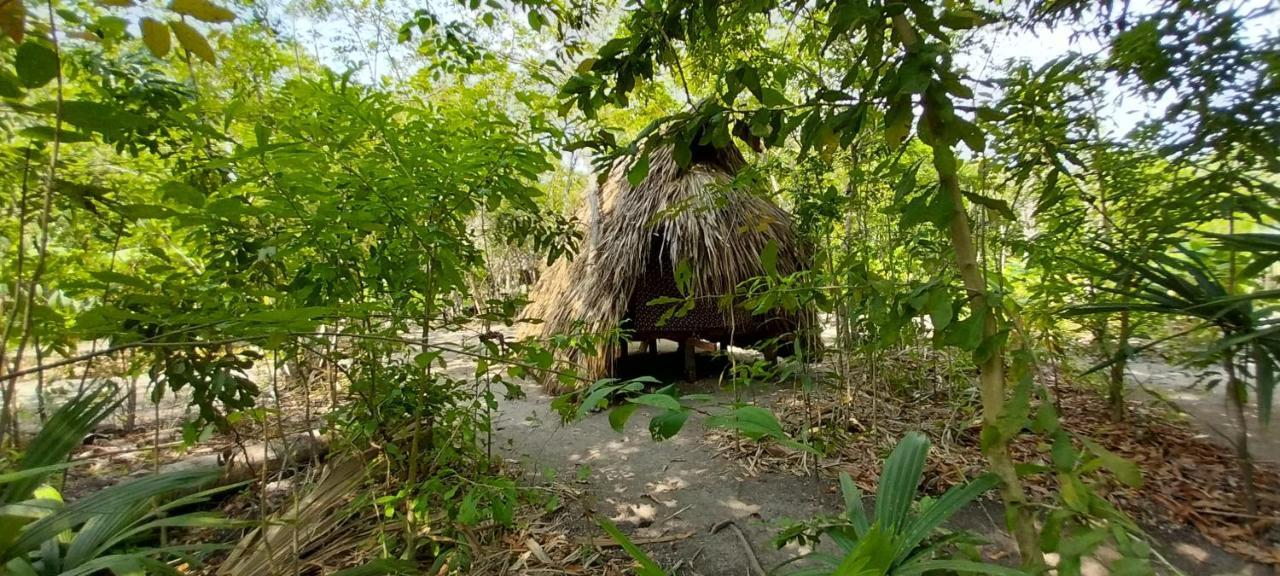 Eco-Camping Mango Feliz Rincon Del Mar San Onofre Dış mekan fotoğraf
