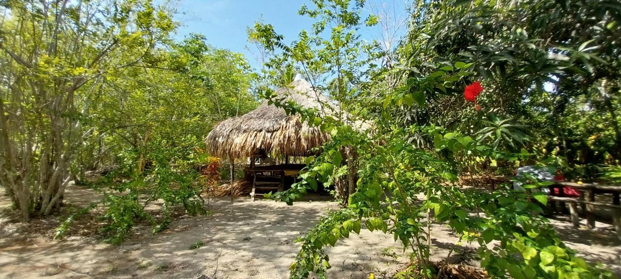 Eco-Camping Mango Feliz Rincon Del Mar San Onofre Dış mekan fotoğraf