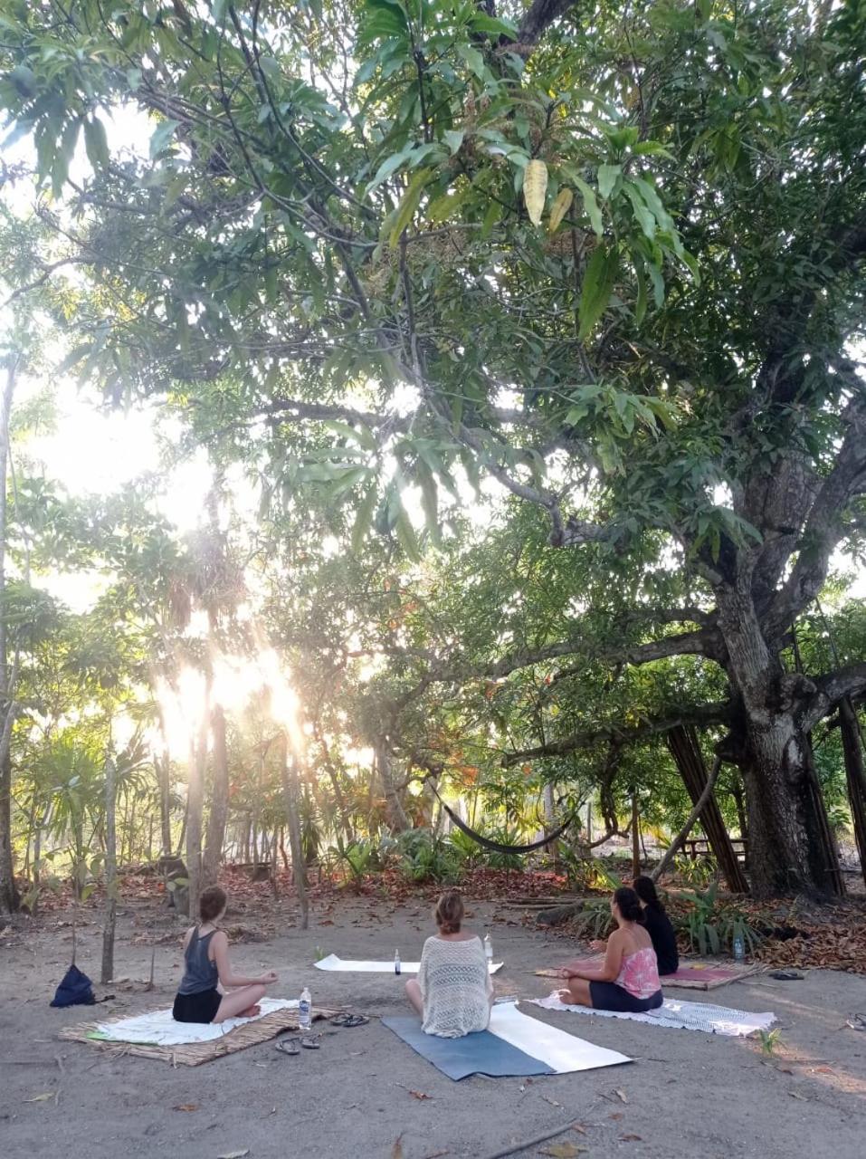 Eco-Camping Mango Feliz Rincon Del Mar San Onofre Dış mekan fotoğraf