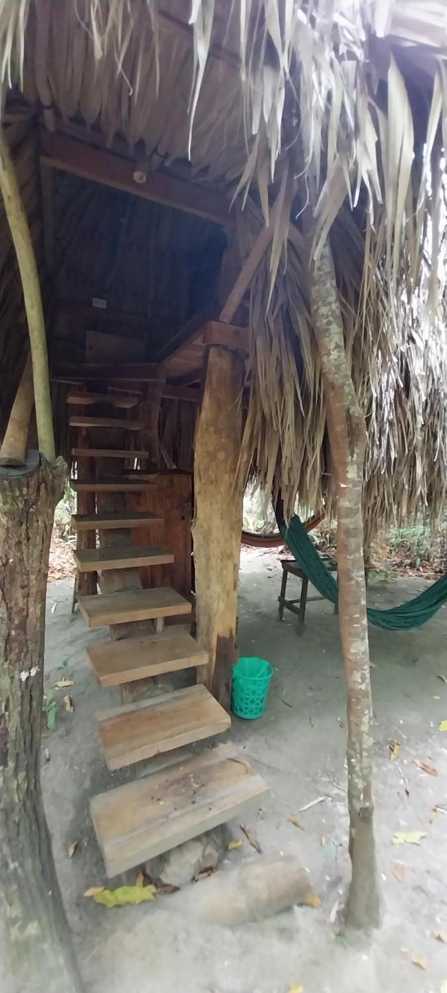 Eco-Camping Mango Feliz Rincon Del Mar San Onofre Dış mekan fotoğraf