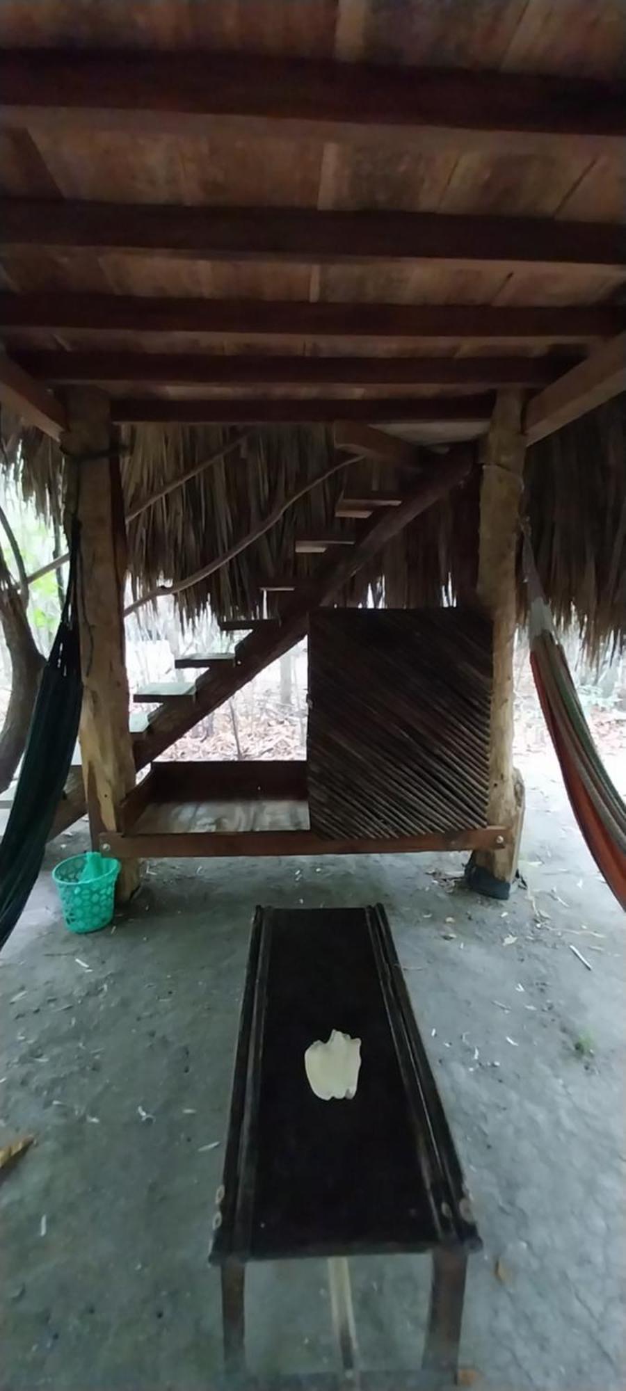 Eco-Camping Mango Feliz Rincon Del Mar San Onofre Dış mekan fotoğraf