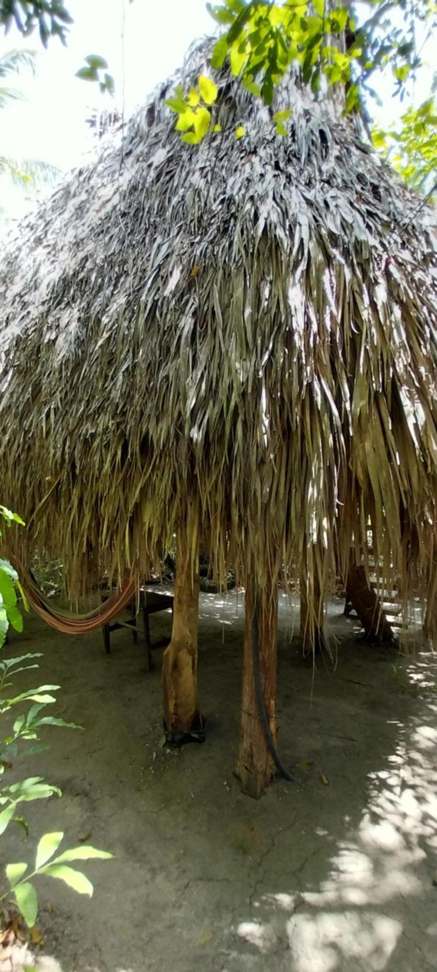 Eco-Camping Mango Feliz Rincon Del Mar San Onofre Dış mekan fotoğraf